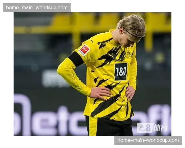 德甲裁判委员会会议纪要流出，将评估是否公开更多涉及进球判罚的VAR原始数据